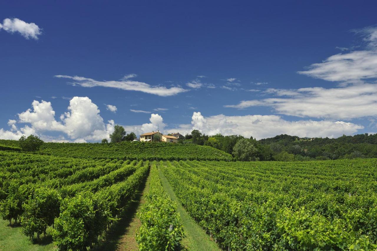 Agriturismo Moro Barel Vittorio Veneto Zewnętrze zdjęcie